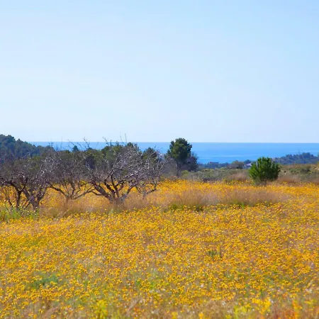 Casa vacanze Vicent By Interhome